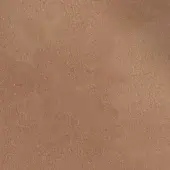 243303457 - TAN
